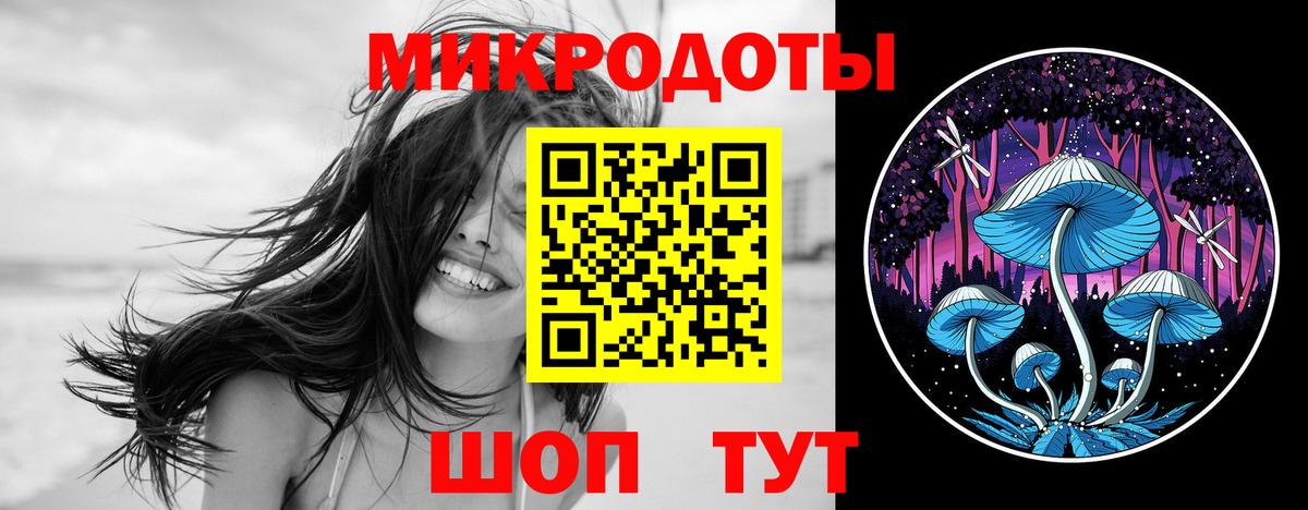 купить наркоту  Вход с VPN  Малоярославец  Псилоцибиновые грибы Psilocybe 