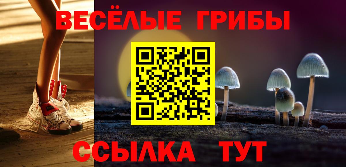 Галлюциногенные грибы Psilocybine cubensis Малоярославец